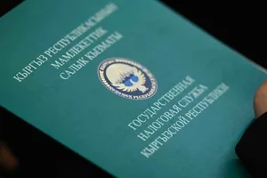 Новые налоговые льготы одобрены Жогорку Кенешем — В ГНС рассказали какие именно