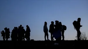 В Грузии задержаны 55 мигрантов, среди которых граждане Азербайджана