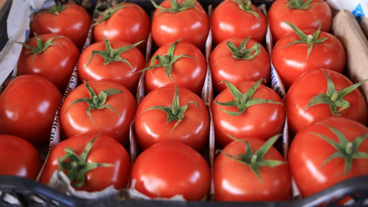 Россия ограничила импорт продукции пяти экспортёров Узбекистана из-за фитосанитарных нарушений