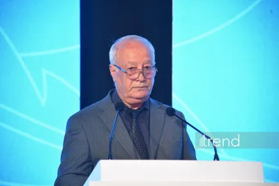 Azərbaycan mediası milli maraqların qorunmasında və tarixi həqiqətlərin dünyaya çatdırılmasında mühüm rol oynayır