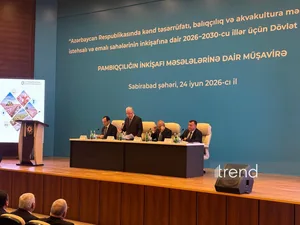 В Азербайджане планируется внедрение механизмов страхования в хлопководстве - Зейнал Нагдалиев