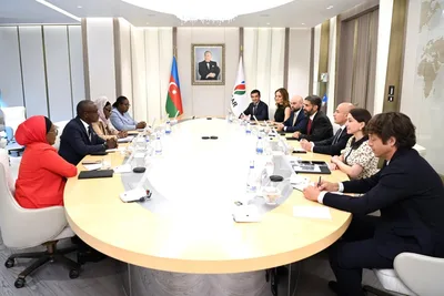 SOCAR и PETROCI обсудили прогресс по месторождению "Baleine"
