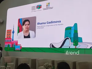 Гидрометеоявления формируют новые риски и для Азербайджана - Ильхама Гадимова