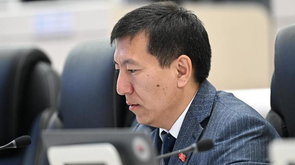 "За ботами кто-то стоит". Депутат просит МВД проверить атаки на коллег из-за "письма 75"