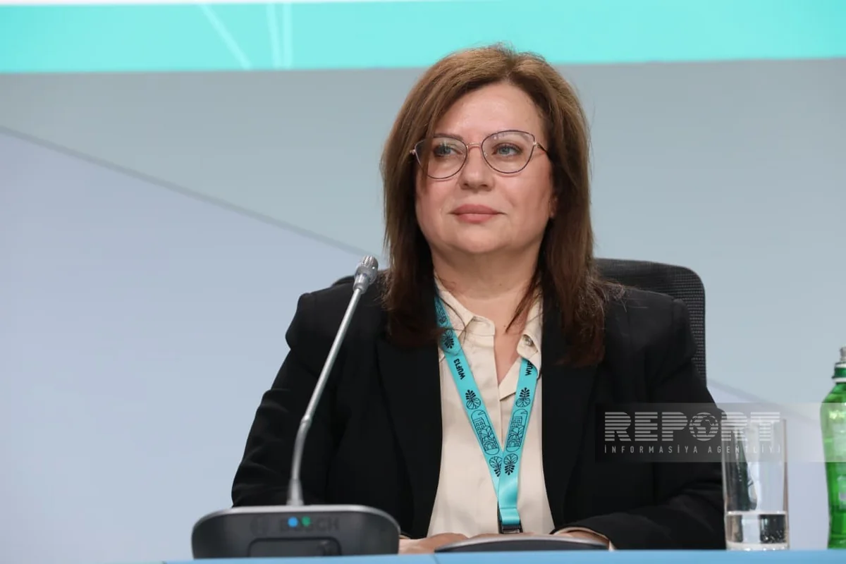 Гараджаева: Джебраильский, Губадлинский и Зангиланский районы развиваются по модели компактной логистики