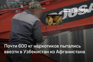 Почти 600 кг наркотиков пытались ввезти в Узбекистан из Афганистана (+видео)