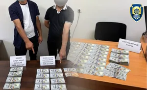 В Ташкентской и Навоийской областях пресекли сбыт фальшивых долларов