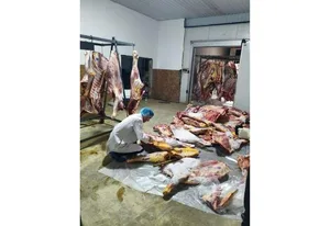 3 tondan çox istehlaka yararsız ət aşkarlanıb