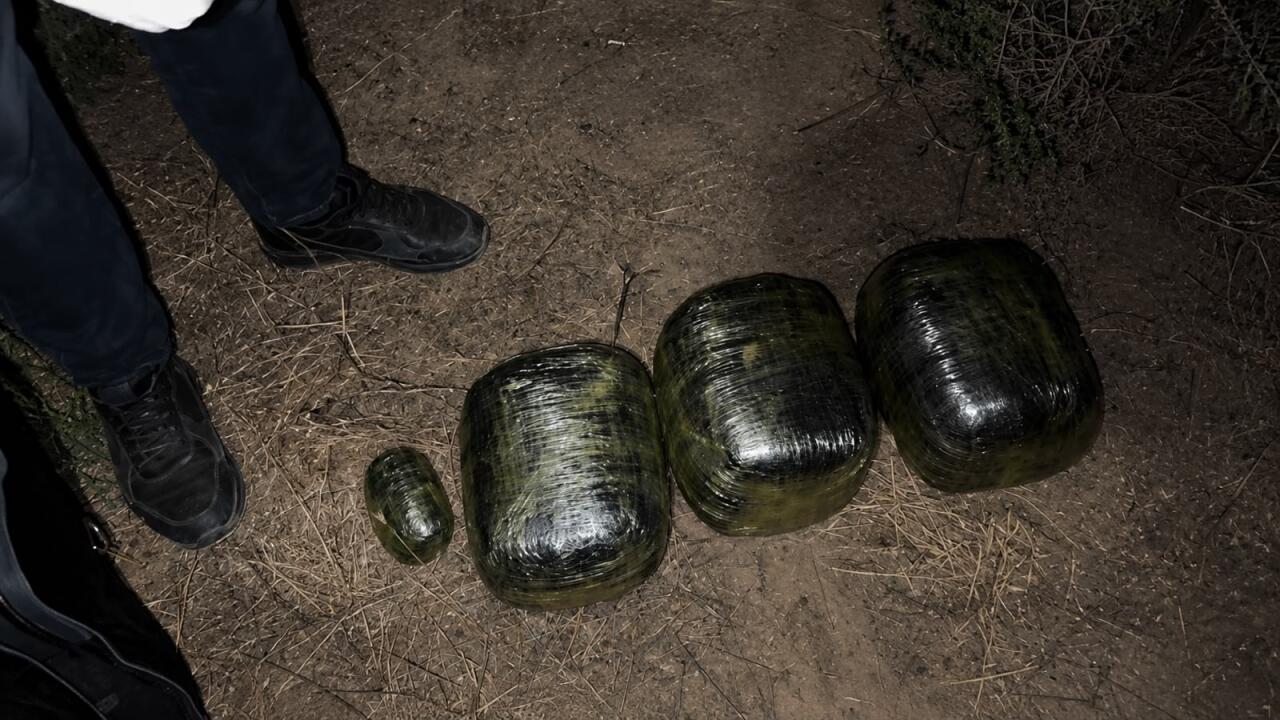 Saatlıda 8 kiloqram narkotik vasitə