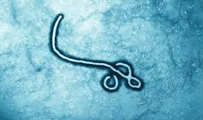 Ebola ilə mübarizə üçün 518 milyon dollar ayrılacaq
