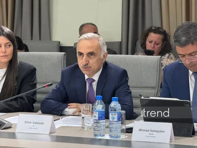 Важно ограничение информации, негативно влияющей на детей — Эльмир Велизаде