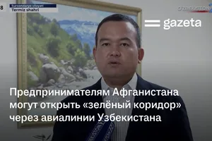 Предпринимателям Афганистана могут открыть «зелёный коридор» через авиалинии Узбекистана
