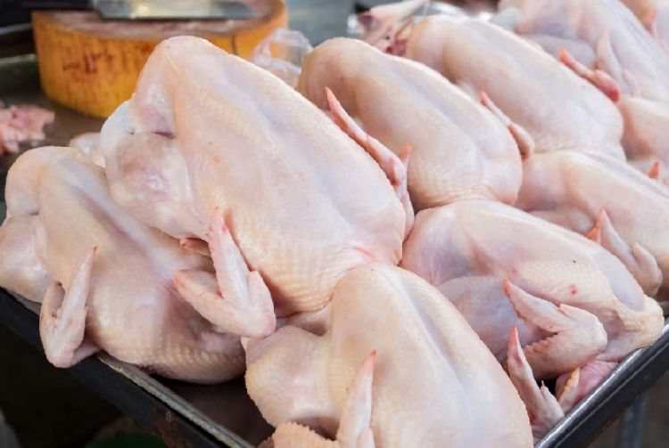 Meat imports to Kyrgyzstan reached $22.62 million since beginning of 2026