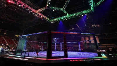 Сколько денег получат бойцы турнира UFC Fight Night Baku?