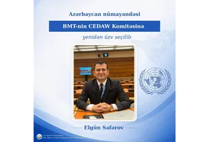 Представитель Азербайджана избран членом Комитета ООН CEDAW