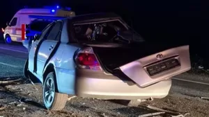 Страшная авария в области Жетысу - полиция завела уголовное дело