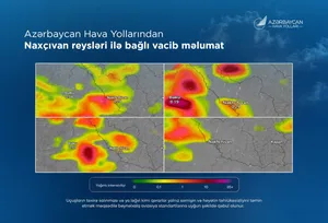 Из-за непогоды перенесен ряд рейсов AZAL по маршруту Баку — Нахчыван