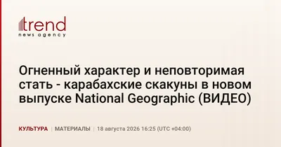 Огненный характер и неповторимая стать - карабахские скакуны в новом выпуске National Geographic (ВИДЕО)