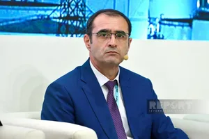 "Азеришыг" назвал ключевые направления инвестиций в распределительную сеть Азербайджана
