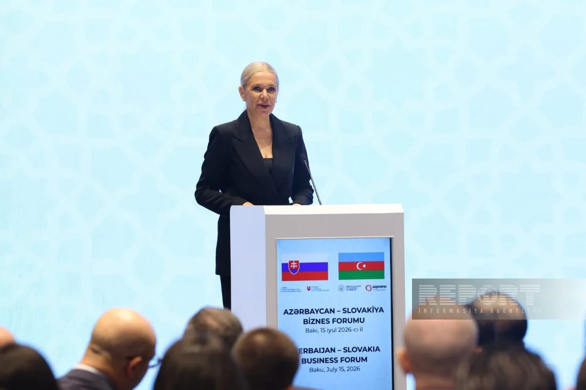 Дениса Сакова: Словакия ценит вклад Азербайджана в энергобезопасность Европы