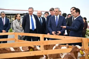Представители Администрации президента ознакомились с животноводческим комплексом в Ходжалы