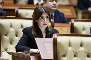 Налоговые льготы и новые возможности. Сенат дал зеленый свет креативной экономике