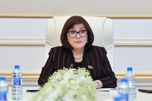 Сахиба Гафарова довольна работой ЦИК Азербайджана