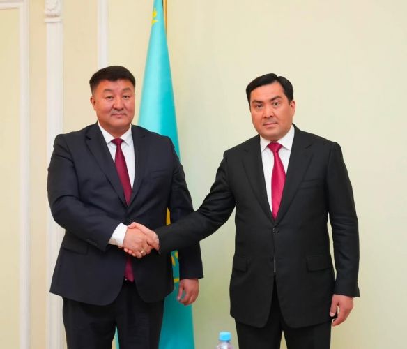 Kazakhstan and Kyrgyzstan agree to step up cooperation in energy sector