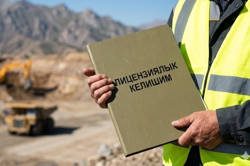 Комитет ЖК рассмотрел законопроект, направленный на совершенствование механизмов лицензирования недропользования, в первом чтении
