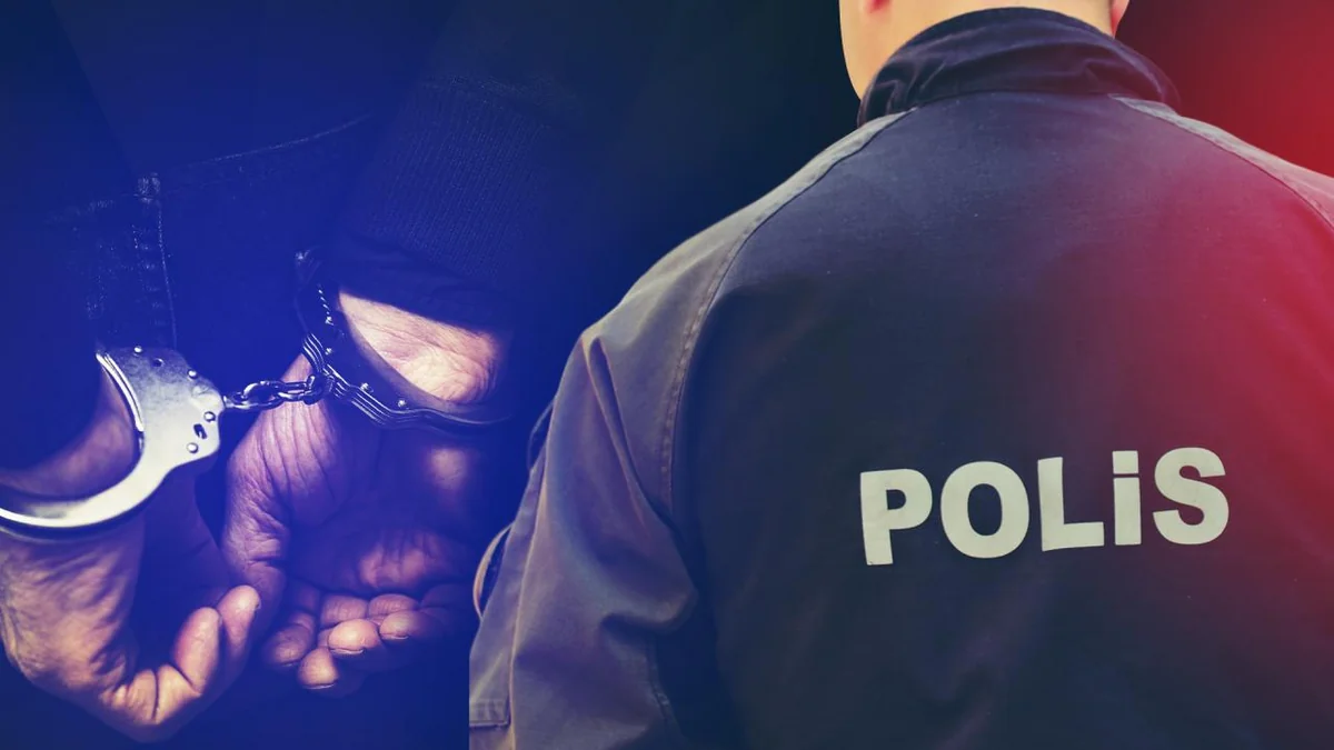 В Турции задержаны 83 человека по делу о вооруженных нападениях в школах