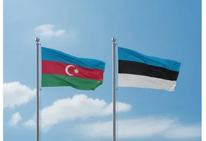 Азербайджан и Эстония провели политические консультации
