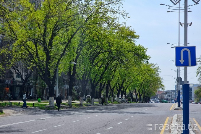 В Узбекистане приняли новый закон об автомобильных дорогах. Детали