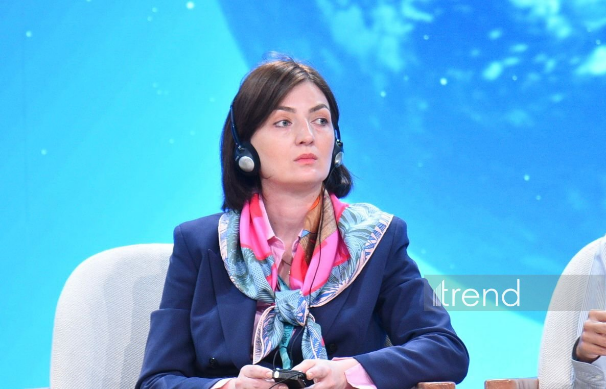 Gürcüstanda əvvəllər planlaşdırma sahəsində təcrübə yox idi