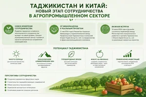 Китайские инвестиции в сады будущего: Shaanxi Apple Group готова развивать яблоневодство и переработку в Таджикистане