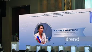 ИИ создает новые вызовы в сфере прав человека - Сабина Алиева