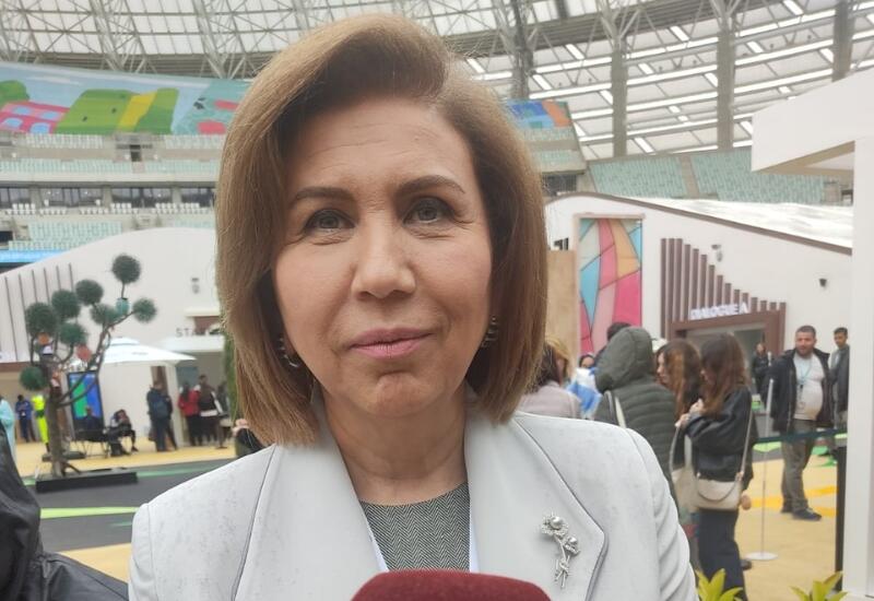 Azərbaycan qadınların layiqli yaşam imkanlarına malik olması üçün dövlət səviyyəsində ciddi işlər görür