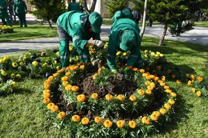 В Баку прошел очередной субботник