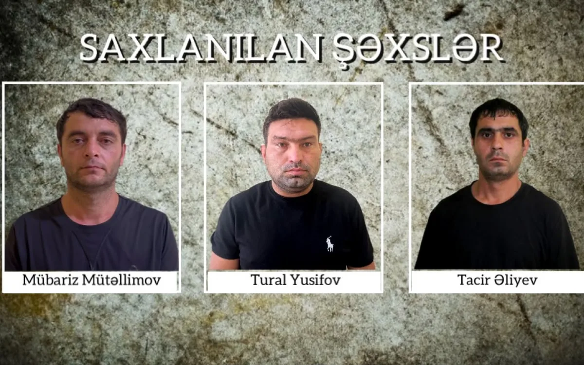 Şirvanda 34 min manatlıq naqil oğurlayan üç nəfər