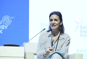 ЕС готов рассматривать дополнительные направления поддержки Азербайджану в сфере "зеленой" энергии (Эксклюзив)