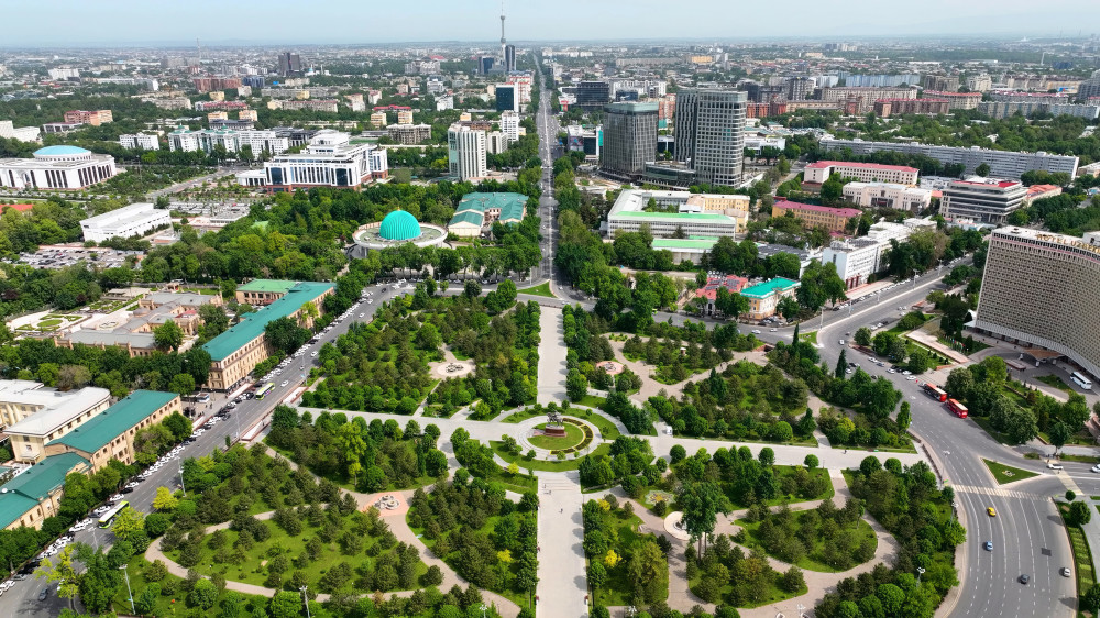 В Минэнерго Казахстана опровергли фейк о причастности к блэкауту в Узбекистане
