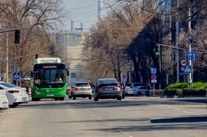 Общественный транспорт Бишкека: больше автобусов - лучше ли система? Исследование