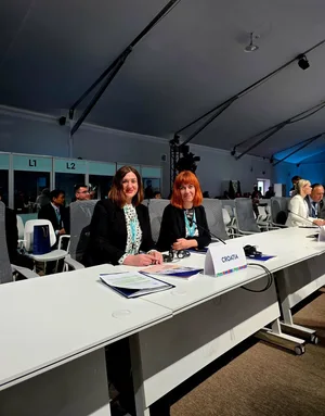 Хорватия ожидает расширения партнерств в сфере городского развития на WUF13 (Эксклюзивное интервью)