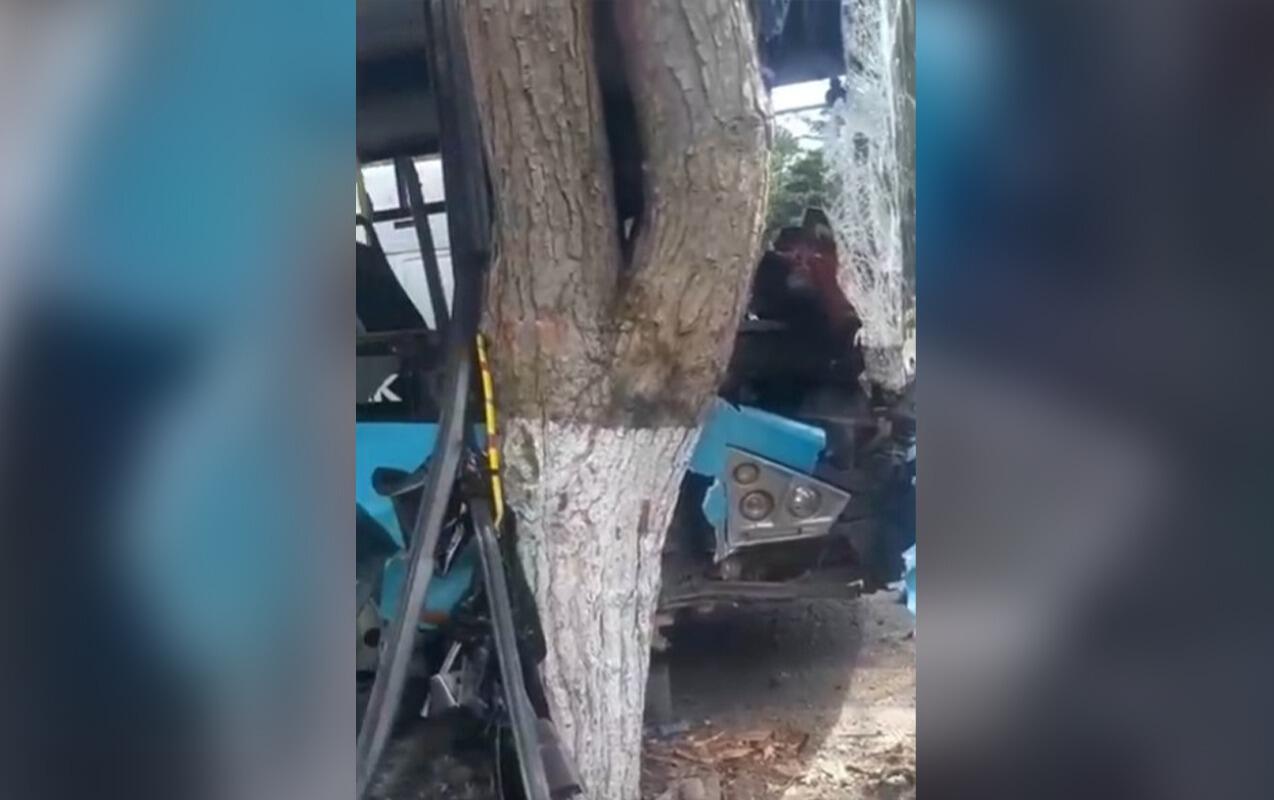 Маршрутный автобус врезался в дерево в Баку: