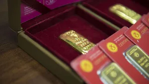 Спецфинорганизации смогут работать с валютой и золотыми слитками