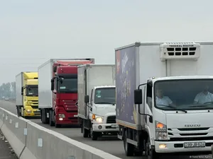 Azərbaycan mənşəli qeyri-neft ixracına və Naxçıvandan daşınmaya dövlət dəstəyi ödəniləcək