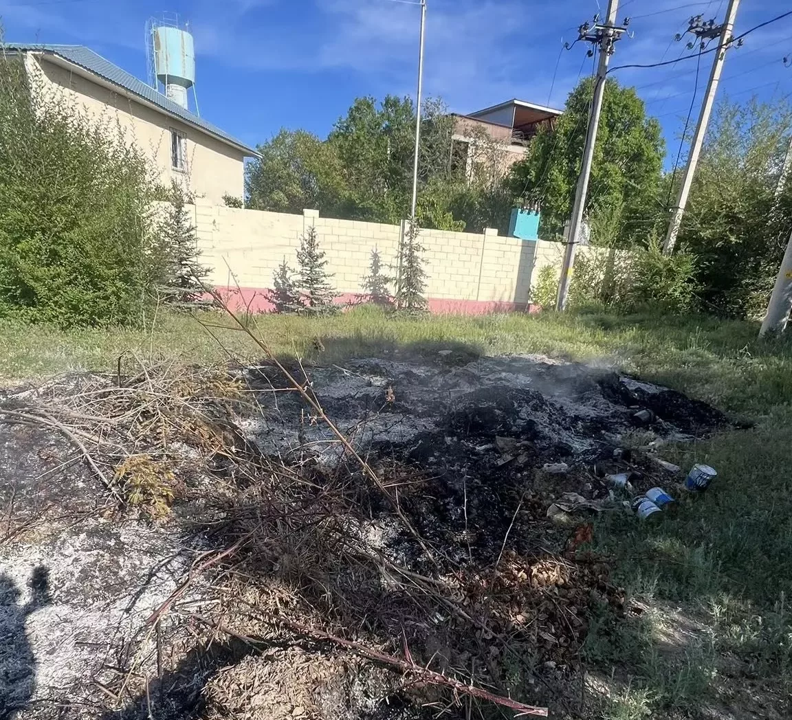 В Чолпон-Ате инспекторы Экотехнадзора выявили факт незаконного сжигания бытовых отходов в неустановленном месте
