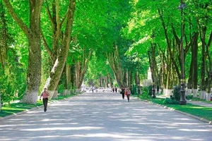 İsmayıllıda kənd təsərrüfatı üzrə əsas hədəflər