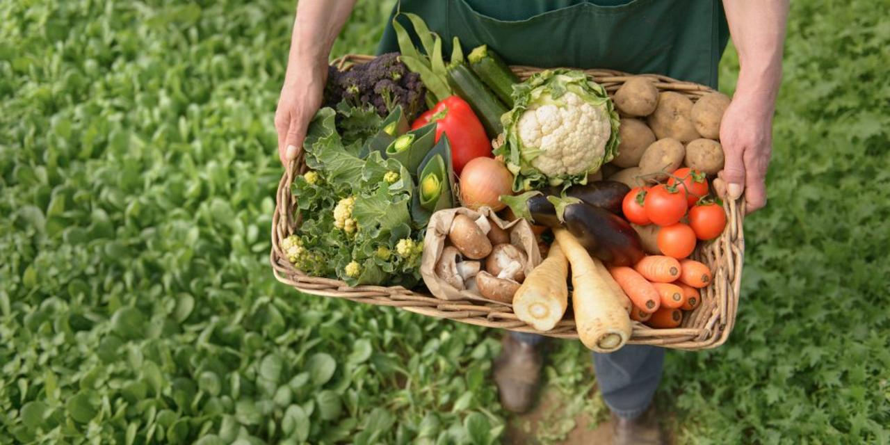 Turkmenistan’s Lebap region sees growth in agricultural production in 1Q2026