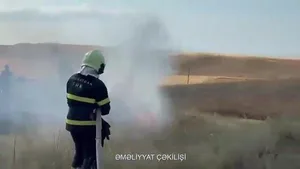Qazaxın Aslanlı kəndində taxıl sahəsi yanıb