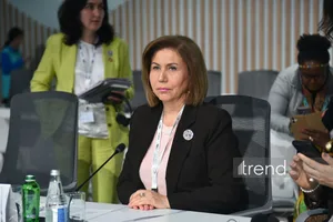 Право на достойное жилье - одна из основ человеческого достоинства - Бахар Мурадова